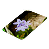 Spring Beauty a Wildflower Abstract Impressionisme Magneet (Linkerzijde)