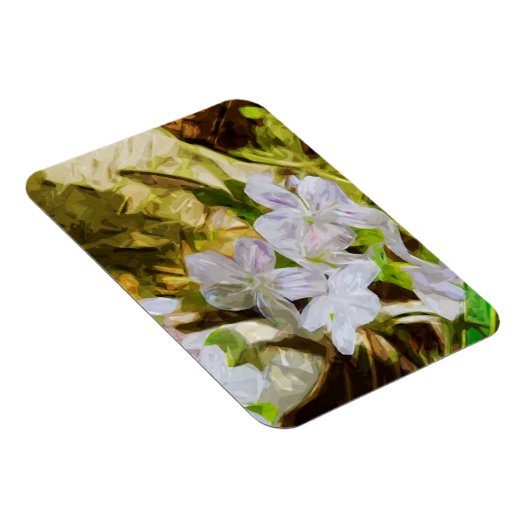 Spring Beauty a Wildflower Abstract Impressionisme Magneet (Rechterzijde)