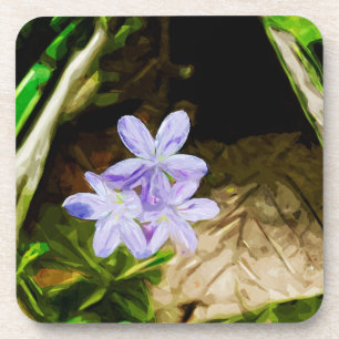 Spring Beauty a Wildflower Abstract Impressionisme Onderzetter