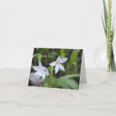 Spring Beauty Bedankkaart (Voorkant)