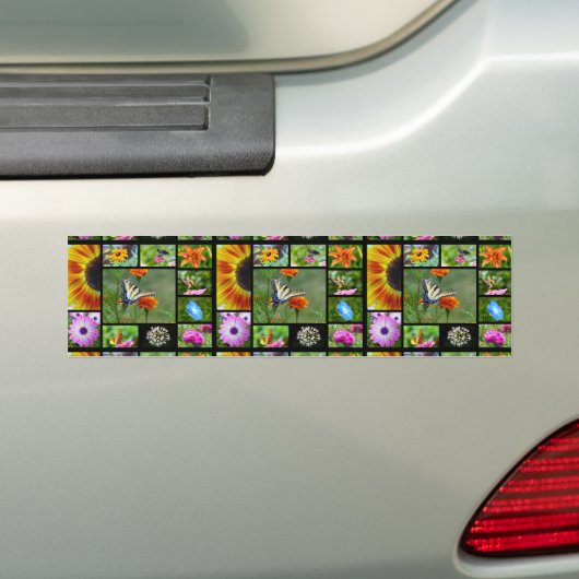 Spring Beauty Bumpersticker (Op auto)