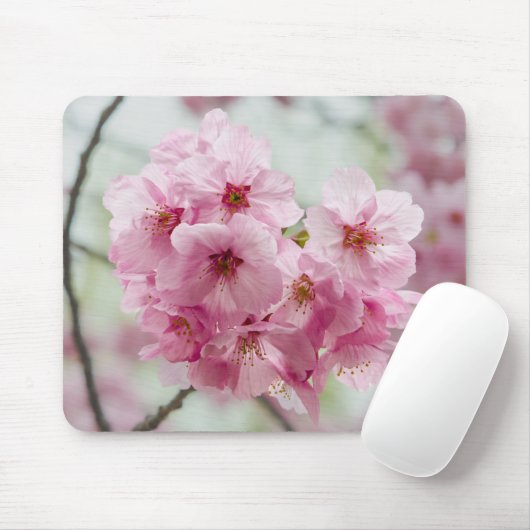 Spring Beauty: Cherry Blossom Photography Muismat (Met muis)