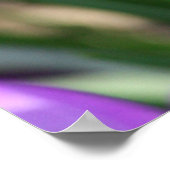 Spring Beauty Poster (Hoek)