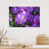 Spring Beauty Poster (Keuken)