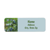 Spring Berry Photo Pine Tree Evergreen Branch Etiket (Voorkant)