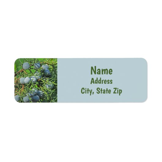 Spring Berry Photo Pine Tree Evergreen Branch Etiket (Voorkant)