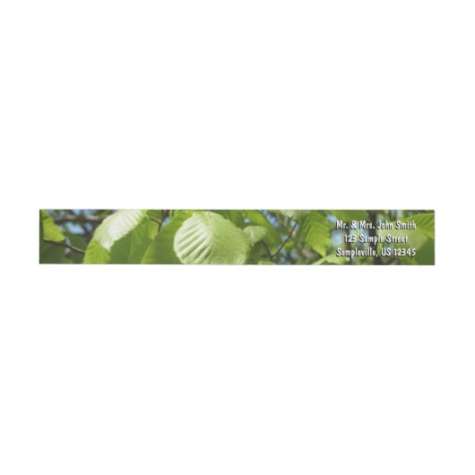 Spring Birch Leaves Green Tree (Individueel)