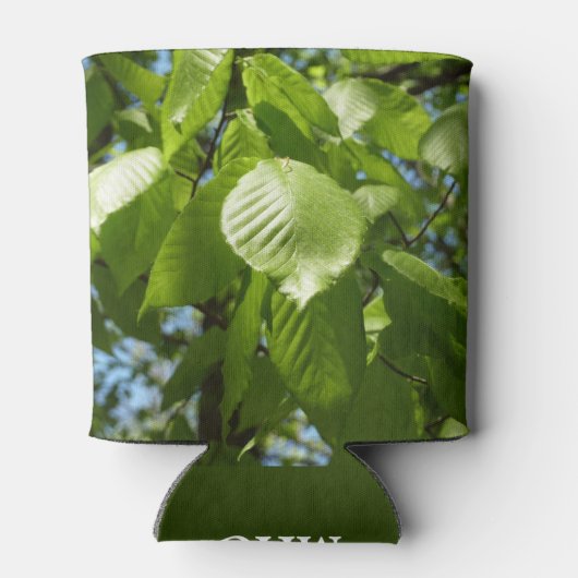 Spring Birch Leaves Green Tree Blikjeskoeler (Achterkant)