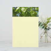 Spring Birch Leaves Green Tree Briefpapier (Staand voorkant)