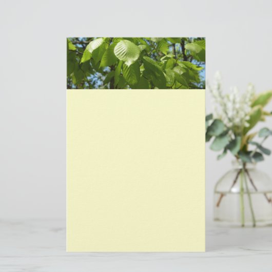 Spring Birch Leaves Green Tree Briefpapier (Staand voorkant)