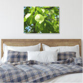 Spring Birch Leaves Green Tree Canvas Afdruk (Insitu (Slaapkamer))