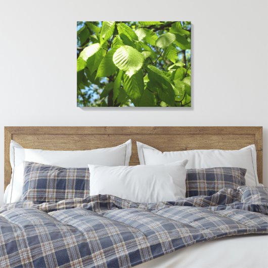 Spring Birch Leaves Green Tree Canvas Afdruk (Insitu (Slaapkamer))