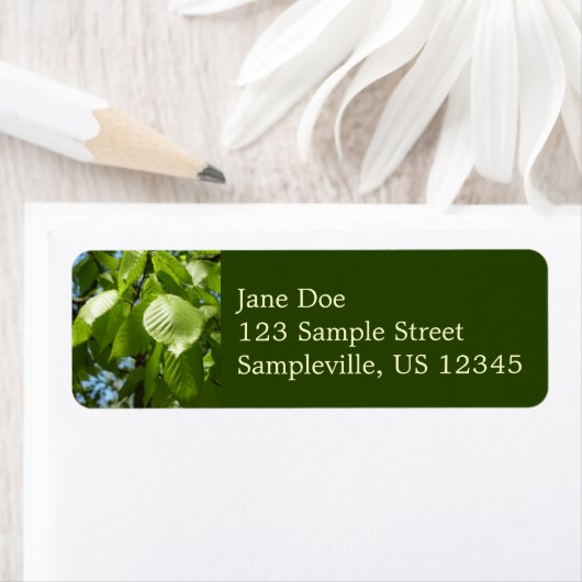 Spring Birch Leaves Green Tree Etiket (Insitu)