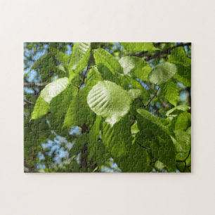 Spring Birch Leaves Green Tree Legpuzzel