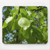 Spring Birch Leaves Green Tree Muismat (Voorkant)