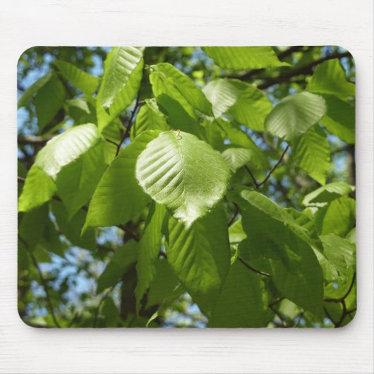 Spring Birch Leaves Green Tree Muismat (Voorkant)