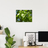 Spring Birch Leaves Green Tree Poster (Thuiskantoor)