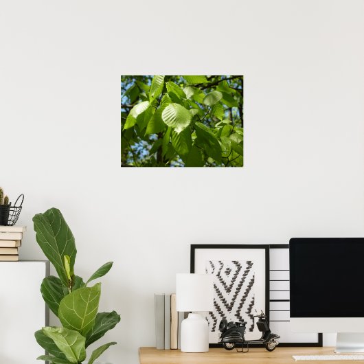 Spring Birch Leaves Green Tree Poster (Thuiskantoor)