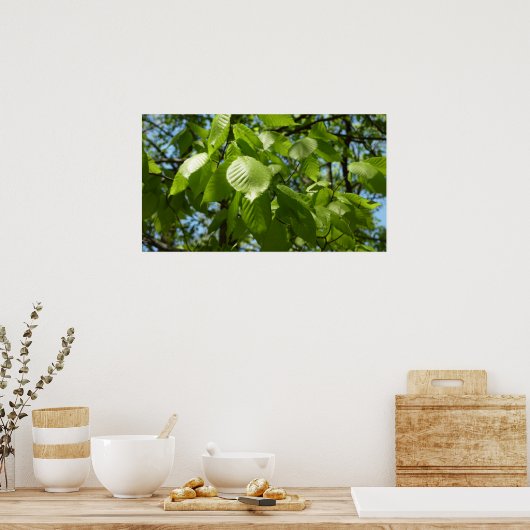 Spring Birch Leaves Green Tree Poster (Keuken)