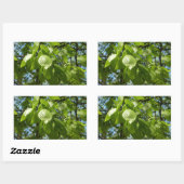 Spring Birch Leaves Green Tree Rechthoekige Sticker (Vel)