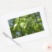 Spring Birch Leaves Green Tree Rechthoekige Sticker (Envelop)