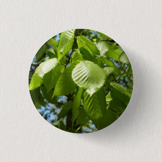 Spring Birch Leaves Green Tree Ronde Button 3,2 Cm (Voorkant)