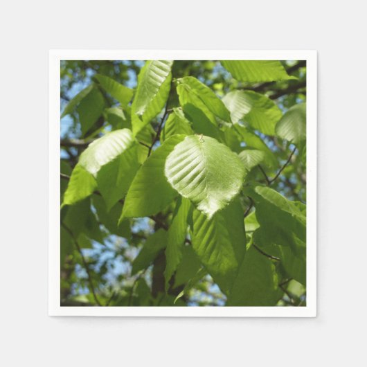 Spring Birch Leaves Green Tree Servet (Voorkant)