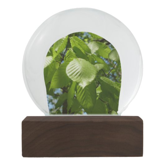 Spring Birch Leaves Green Tree Sneeuwbol (Achterkant)