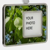 Spring Birch Leaves Green Tree Verzilverd Omlijst Ornament (Rechts)