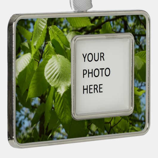 Spring Birch Leaves Green Tree Verzilverd Omlijst Ornament (Rechts)