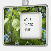 Spring Birch Leaves Green Tree Verzilverd Omlijst Ornament (Links)