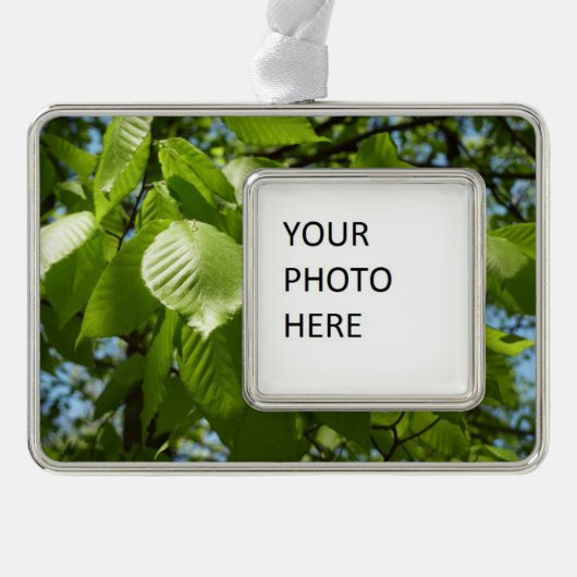 Spring Birch Leaves Green Tree Verzilverd Omlijst Ornament (Voorkant)