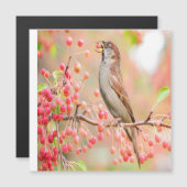 Spring Bird Eating Berries (Voorkant / Achterkant)
