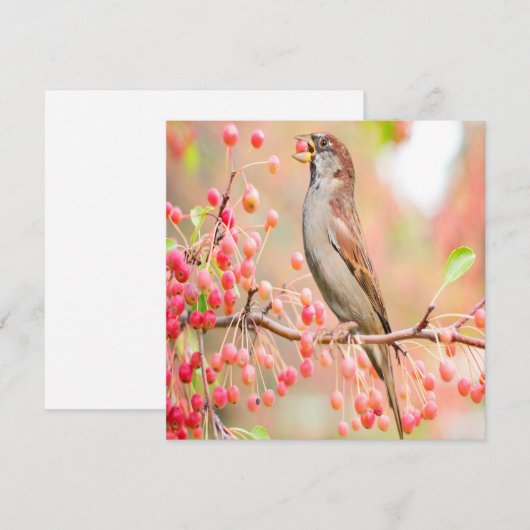 Spring Bird Eating Berries (Voorkant / Achterkant)