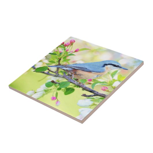 Spring Bird - Mooi Tegeltje (Zijkant)