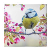 Spring Bird Tegeltje (Voorkant)