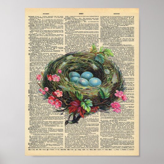 Spring Birds Nest op  woordenboekpagina Poster (Voorkant)