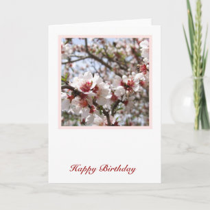 Spring Birthday Kaart