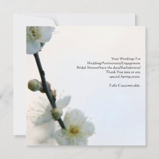 Spring Bliss/Double Happiness Chinese Wedding Kaart (Achterkant)