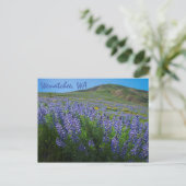 Spring Bloom op Sage Hills Wenatchee in Washington Briefkaart (Staand voorkant)