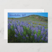 Spring Bloom op Sage Hills Wenatchee in Washington Briefkaart (Voorkant / Achterkant)