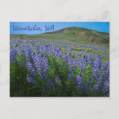 Spring Bloom op Sage Hills Wenatchee in Washington Briefkaart (Voorkant)