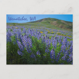 Spring Bloom op Sage Hills Wenatchee in Washington Briefkaart