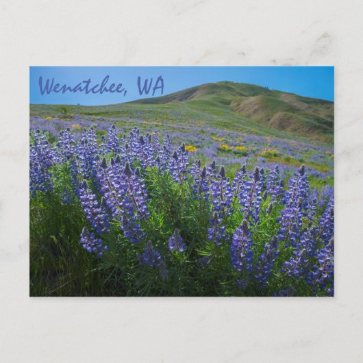 Spring Bloom op Sage Hills Wenatchee in Washington Briefkaart (Voorkant)