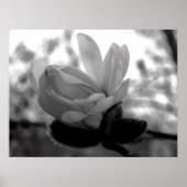 Spring Bloom Print (Voorkant)