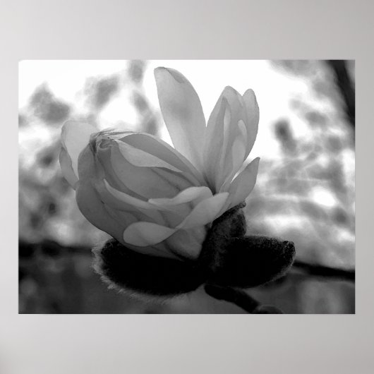 Spring Bloom Print (Voorkant)