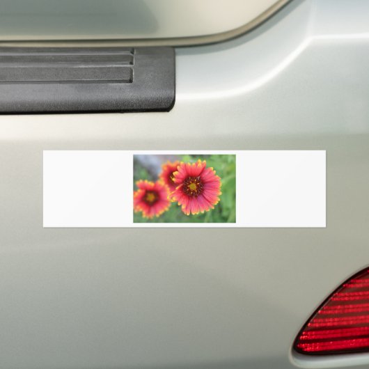 Spring Bloom PT 2 Bumpersticker (Op auto)