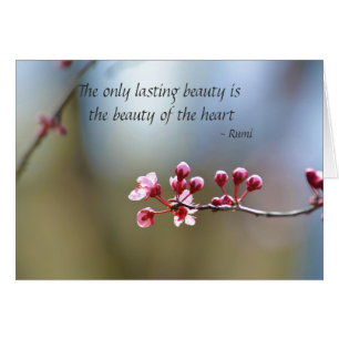 Spring Blooms Beauty