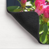 Spring Blooms in Cottage City - Martha's Vineyard Muismat (Hoek)