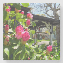 Spring Blooms in Cottage City - Martha's Vineyard Stenen Onderzetter